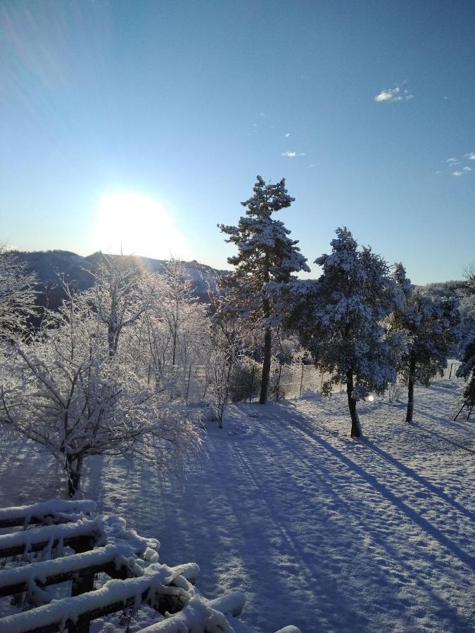 B&B Il Sogno Dovadola 外观 照片