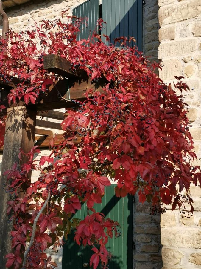 B&B Il Sogno Dovadola 外观 照片